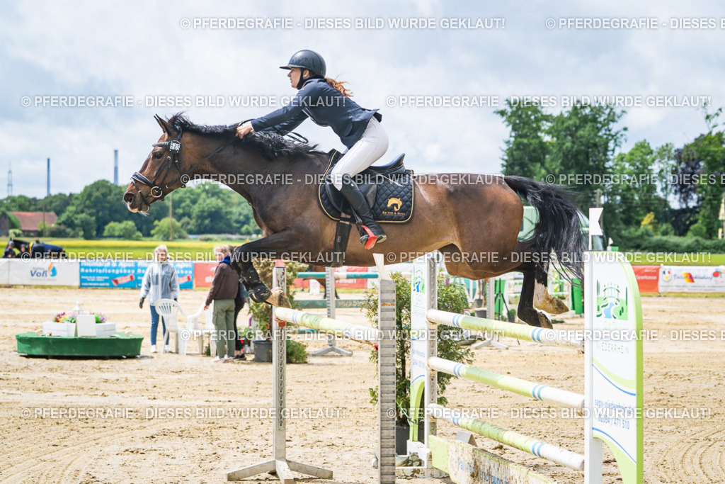 DSC04513 | Pferdegrafie