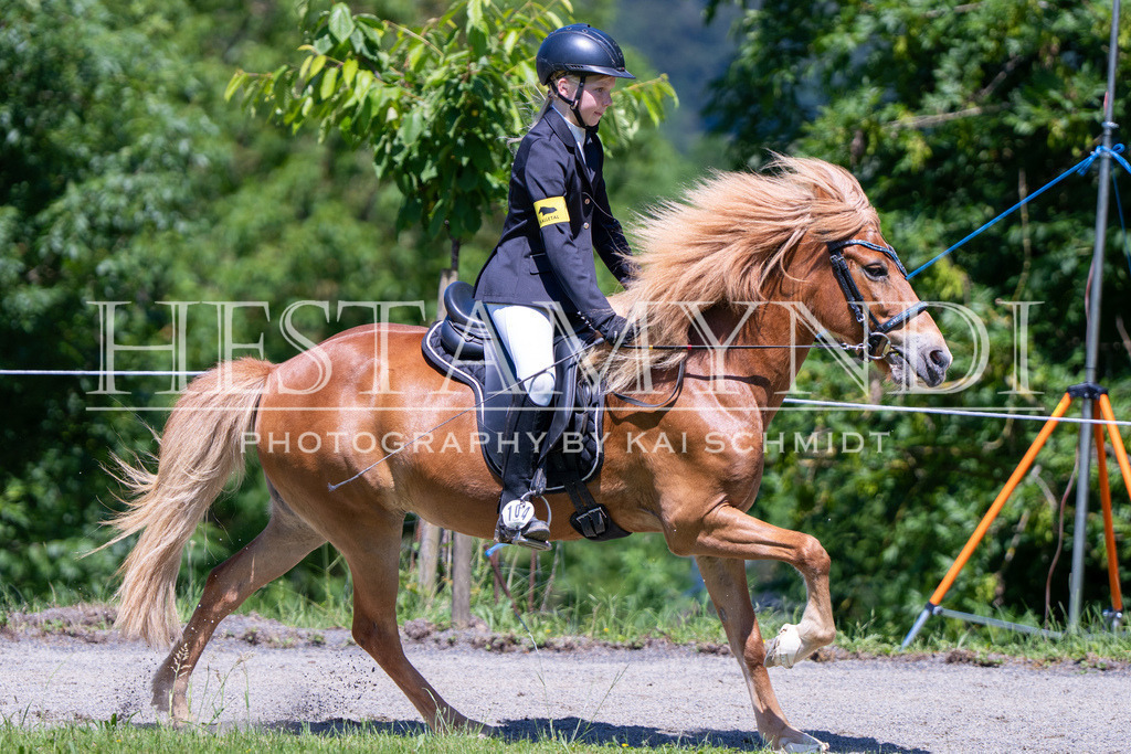 KAI08869 | Ihr sucht einen Fotografen für eure nächste OSI? Ich begleite auch euer Turnier für Islandpferde fotografisch.  - Realisiert mit Pictrs.com