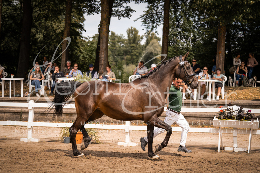 3.Fr00045 | Leoni Ertmer Photography - Realisiert mit Pictrs.com