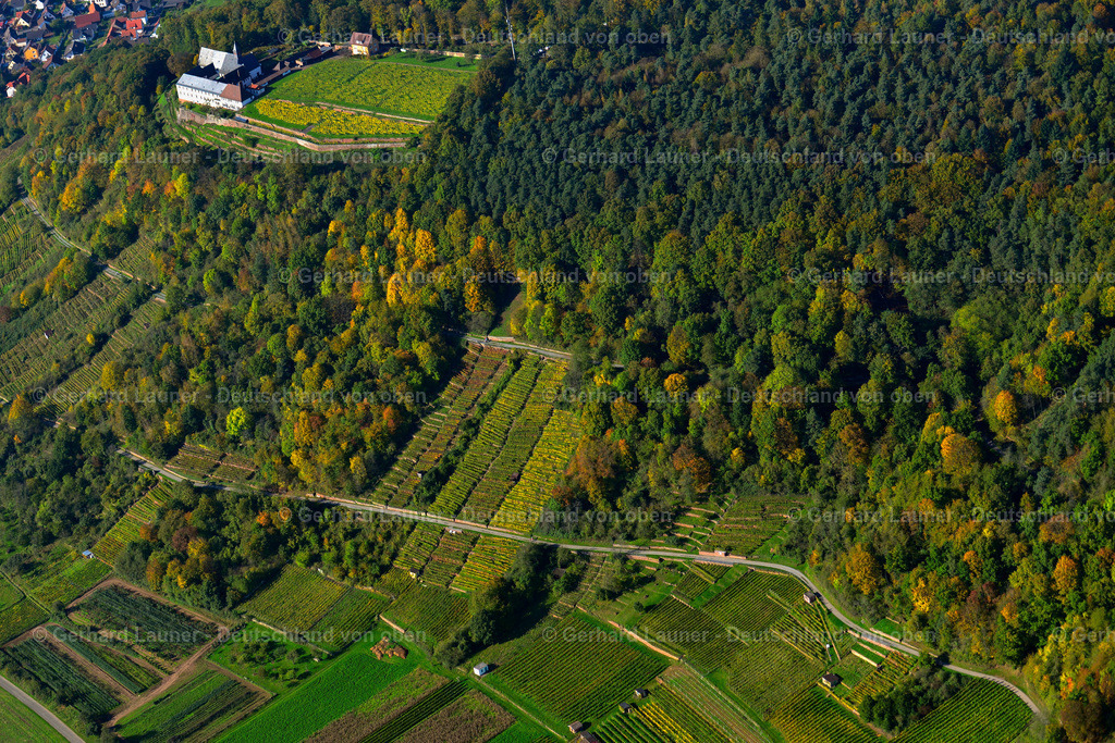 3491095 | Weinberge am Kloster Engelberg, Großheubach
