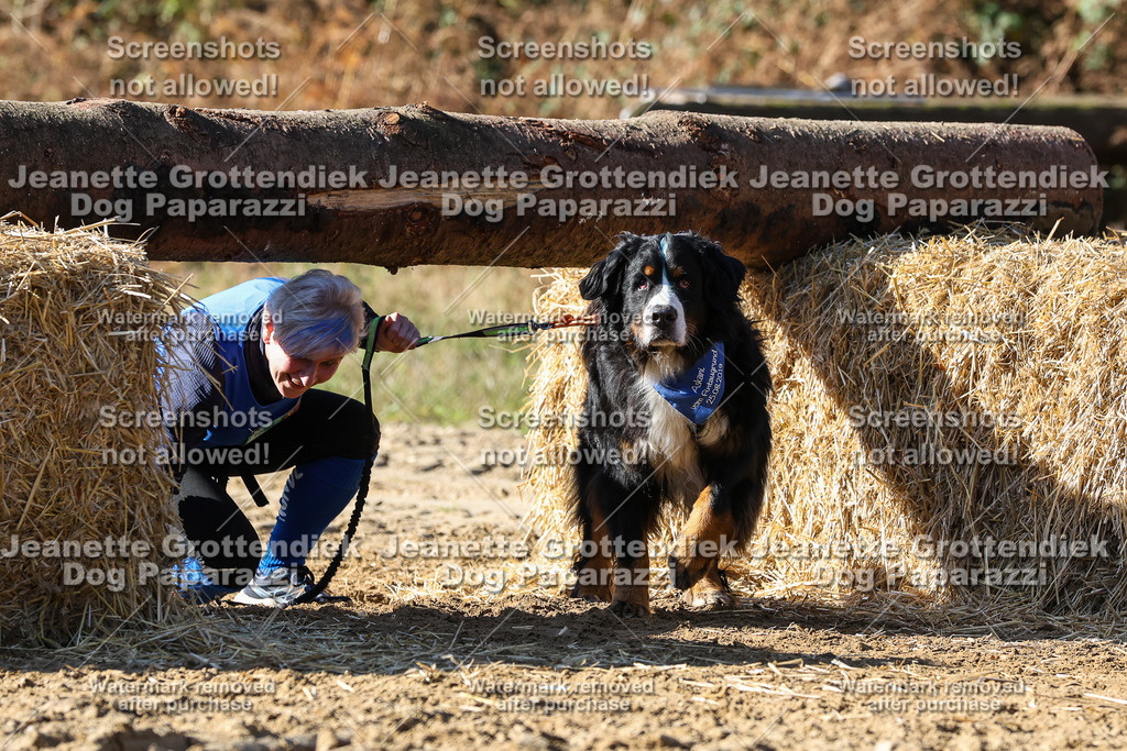 Dog Paparazzi - Strongdog 10-25-2902 | Dog Paparazzi Jeanette Grottendiek Fotografie & Videografie - Realisiert mit Pictrs.com