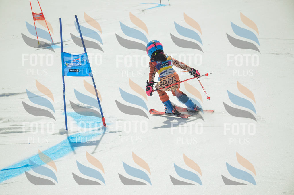 _ELE4385 | holidayphoto