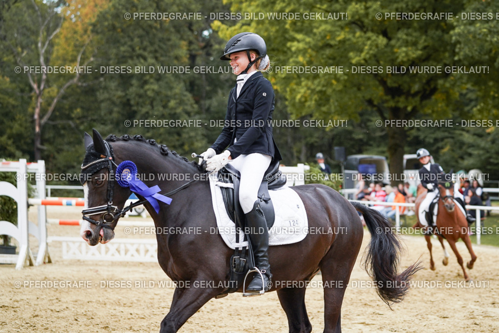 DSC06166 | Pferdegrafie