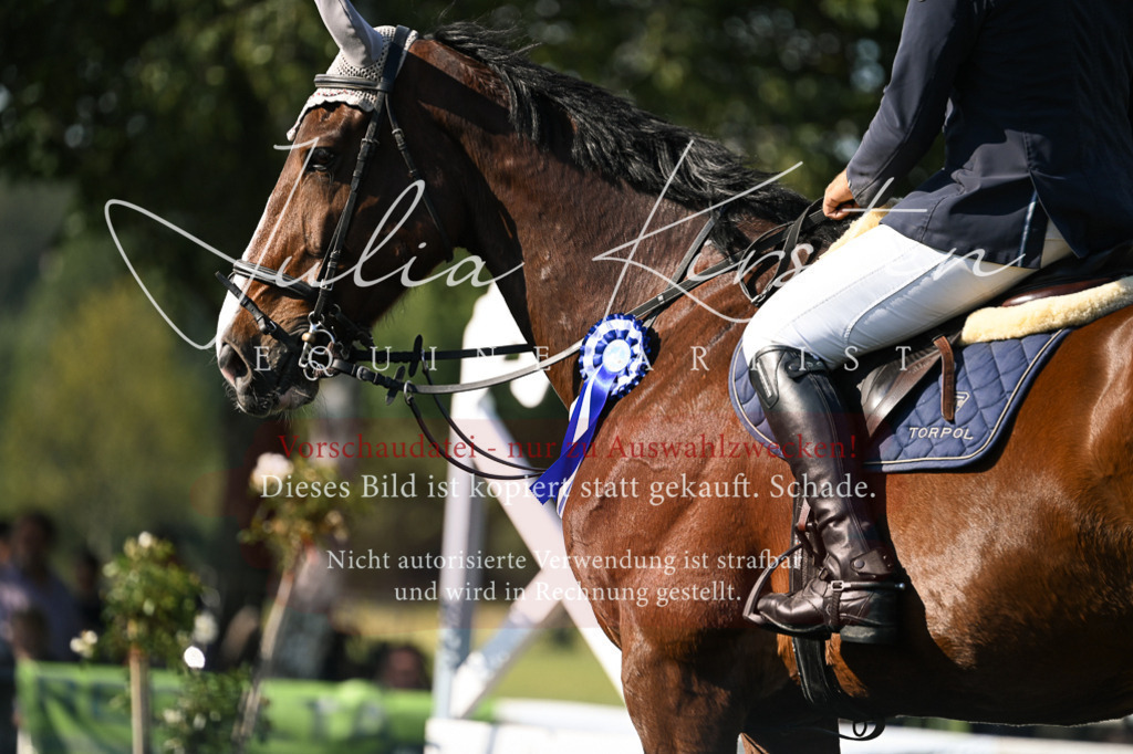 DSC_1535 | Pferde- und Turnierfotografie in Westsachsen. Pferdeportraits, Auftragszeichnungen und intuitive Kunst.