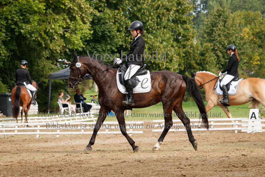 IMG_2391 | P. Berger Fotografie - Realisiert mit Pictrs.com