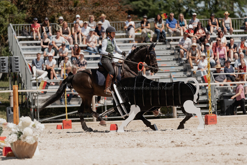 WE_SP_Stoib_315_PI2025_1853 | Pferd International München 2025