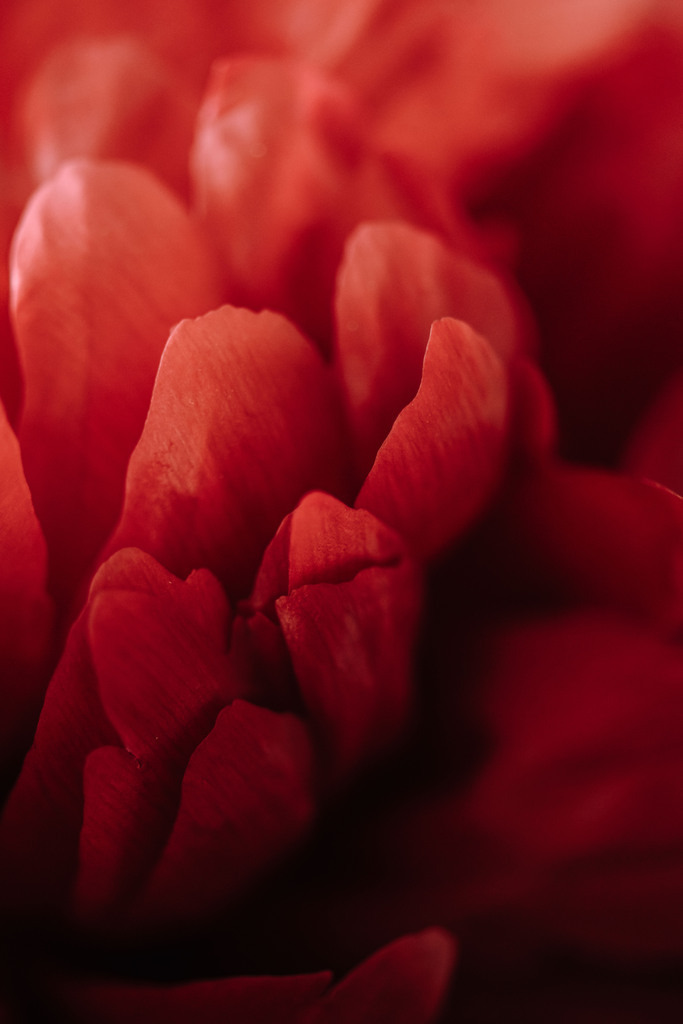 DSC_0906 | Du suchst natürliche und atmosphärische Prints oder Leinwanddrucke? In diesem Shop gibt es alles, nur kein Mainstream. - Realisiert mit Pictrs.com