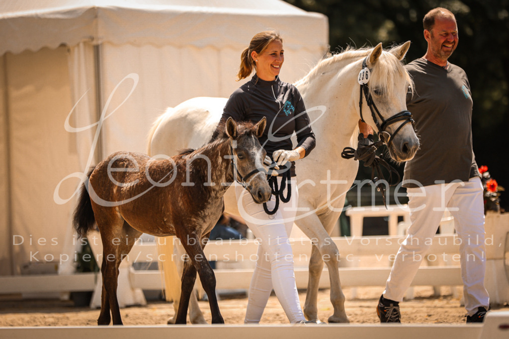 02.DoSR00205 | Leoni Ertmer Photography - Realisiert mit Pictrs.com