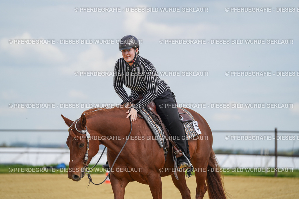 DSC05626 | Pferdegrafie