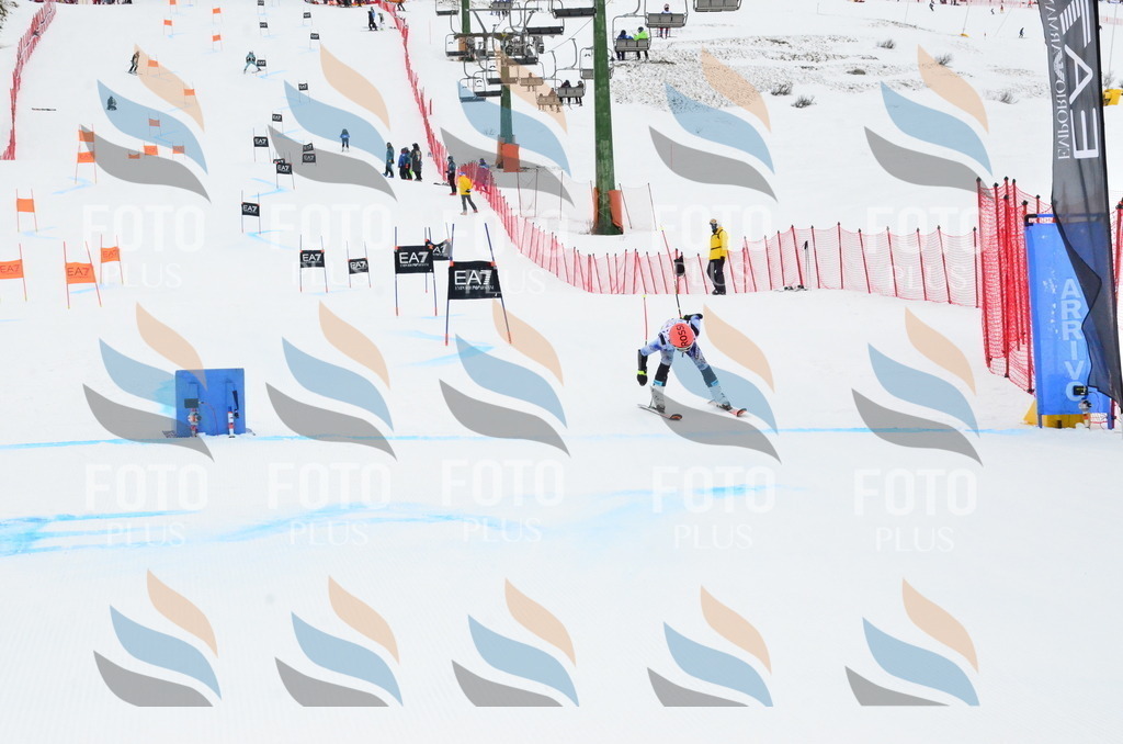 _ELE3930 | holidayphoto