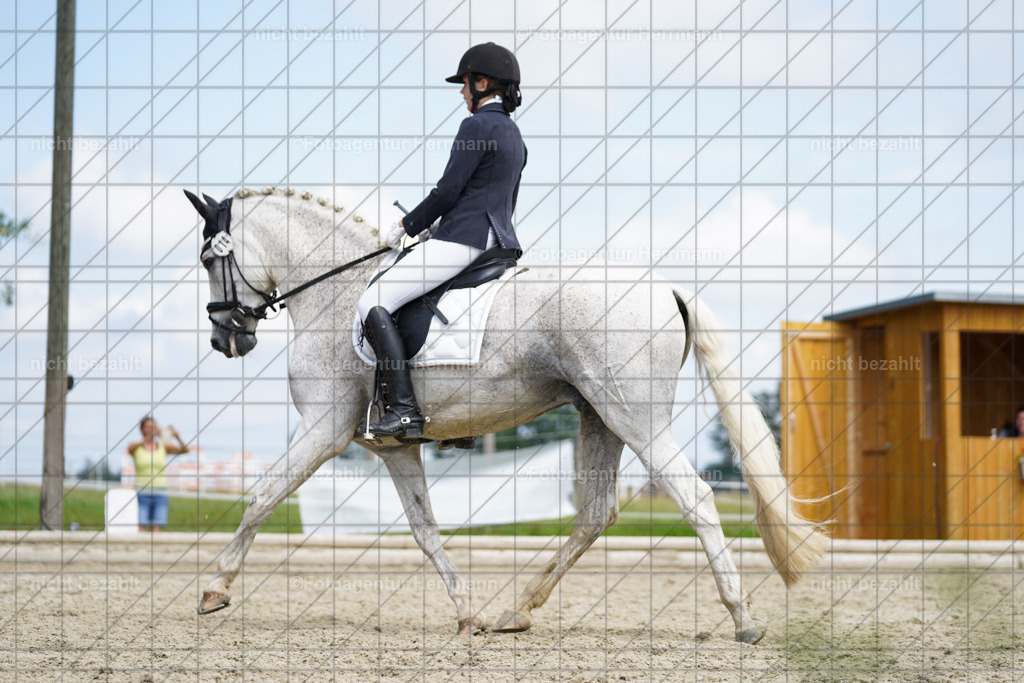 20230826-FAH05357 | Forstinning, 2023, Dressurturnier, Turniersportbilder, Turnierfotografen Bayern, Fotoagentur Herrmann, Reitsportfotografie, Turnierbilder
