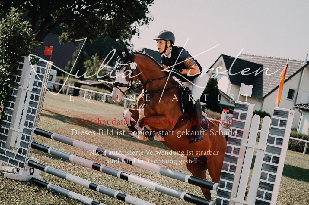 DSC_4742 | Pferde- und Turnierfotografie in Westsachsen. Pferdeportraits, Auftragszeichnungen und intuitive Kunst.