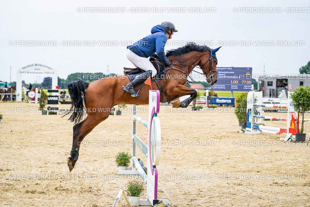 DSC06636 | Pferdegrafie