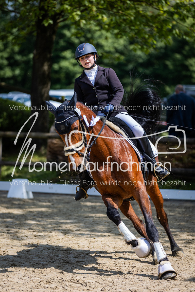 Donop24-EDre-076 | MomenTaufnahmen Pferdesportfotos