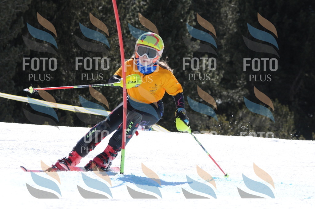 C9266 | holidayphoto