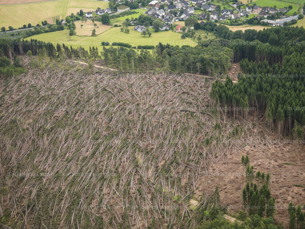 2712053 | Waldschäden durch den Orkan Kyrill bei Attendorn