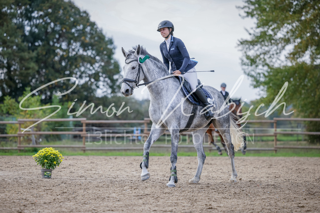 20251012-_3LI5454 | Tierfotografie Pferde, Hunde, Katzen, Haustiere.
Turnierfotografie Reitturniere, Reiten, Springreiten, Dressur in Hanau, dem Main-Kinzig-Kreis und dem Rhein-Main- Gebiet um Frankfurt
