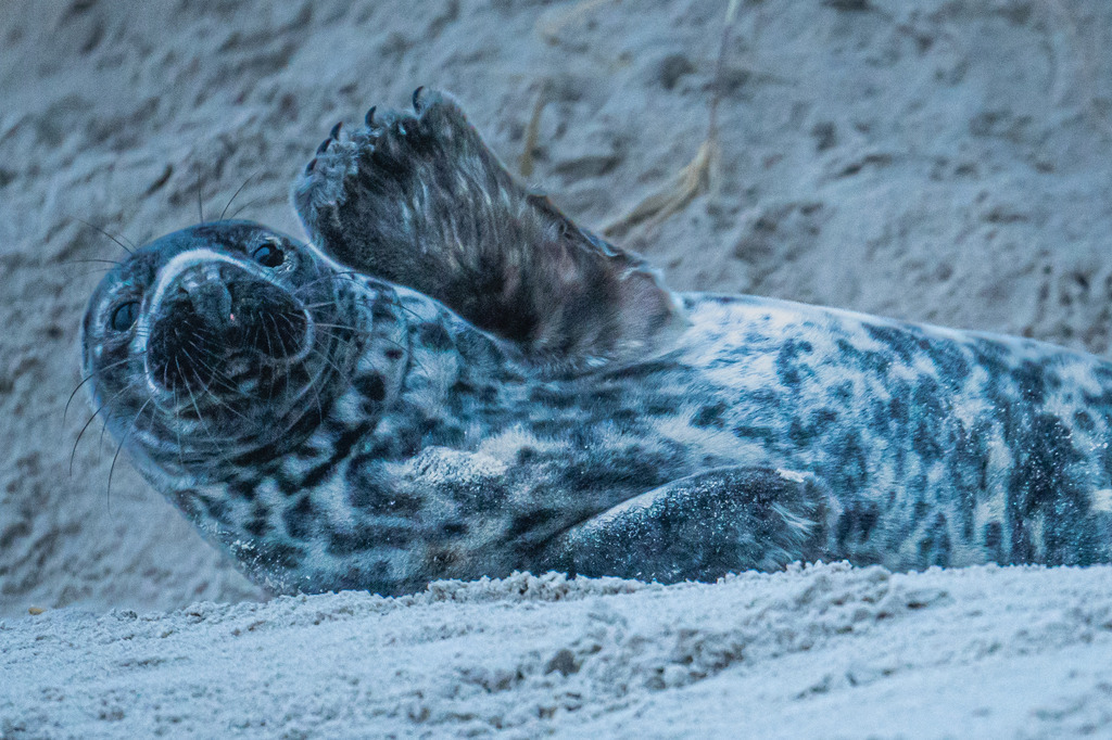 56001A0F-585C-493A-87C0-BE484C83D320 | <meta name="keywords" content="Bergbilder, Hochzeitsfotografie, Actionshootings, Fotografiearbeiten, Berglandschaften, Naturfotografie">

 - Realisiert mit Pictrs.com