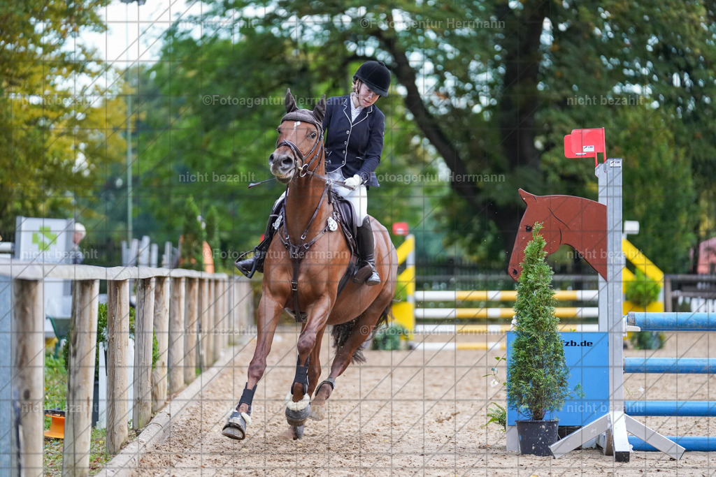 20221009-FAH08243 | Diessen am Ammersee, 2022, Dressur- und Springturnier, Reitsportbilder, Turnierfotografen Bayern, Pferdefotografen, Fotoagentur Herrmann, Turnierbilder