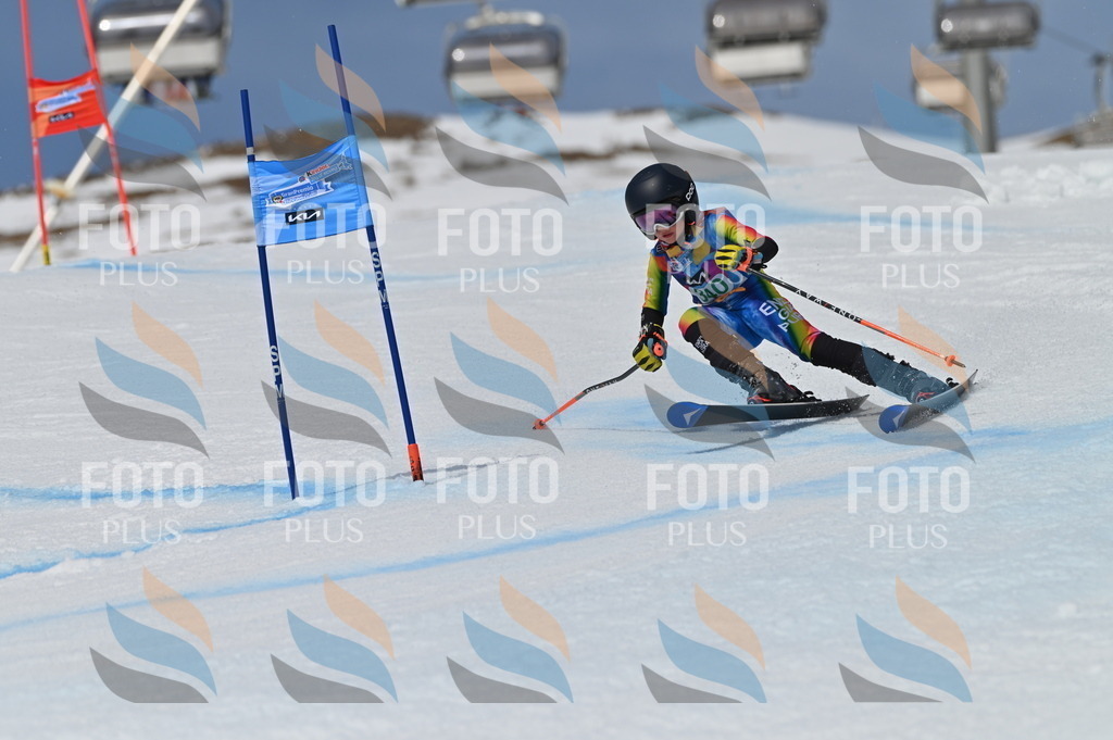 BGV_6753 | holidayphoto