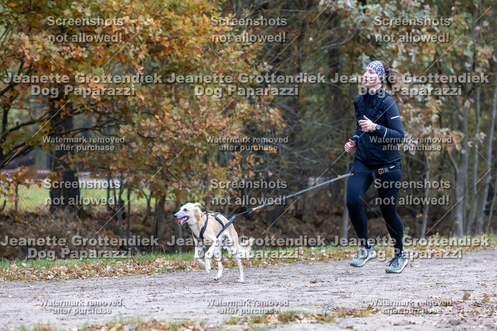 Dog Paparazzi - SD CaniX Championship 2025-326 | Dog Paparazzi Jeanette Grottendiek Fotografie & Videografie - Realisiert mit Pictrs.com