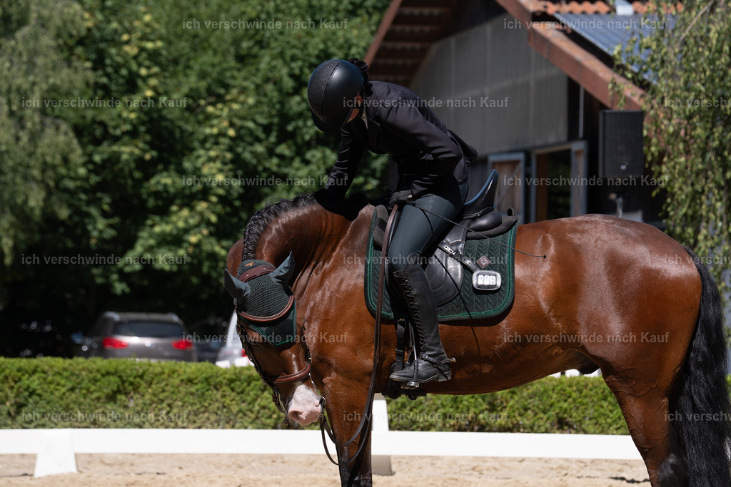 __105_sinafilmart_IN07989 | working equitationturnier fotograf videograf stoibphotography marixx film working equitation deutschland reitsport turnierfotografie eventfotografie equestrian events