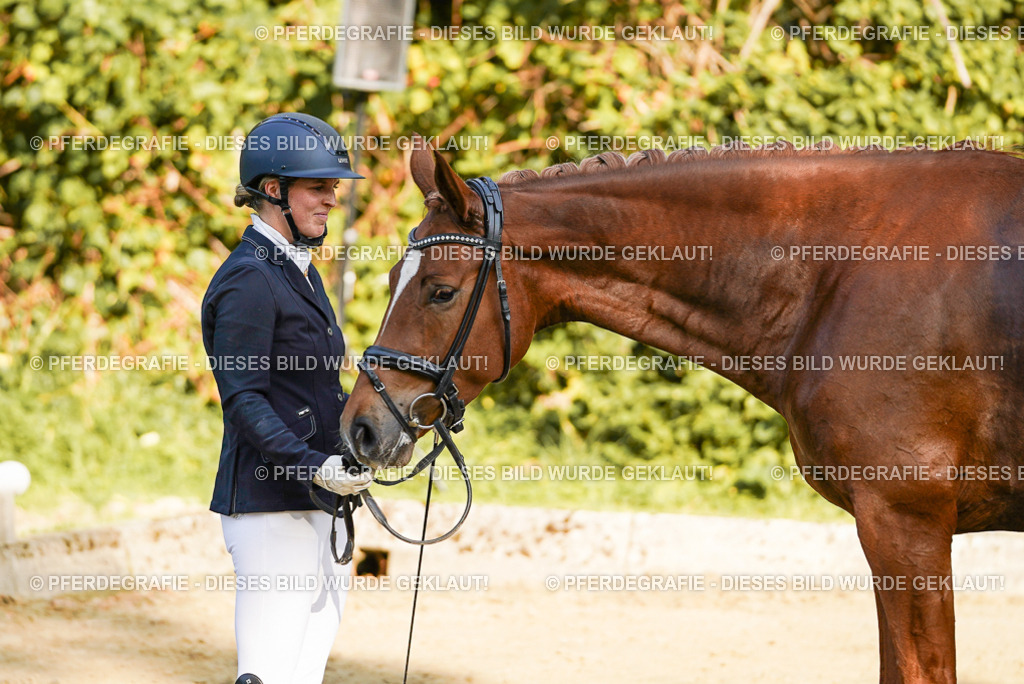 DSC05753 | Pferdegrafie