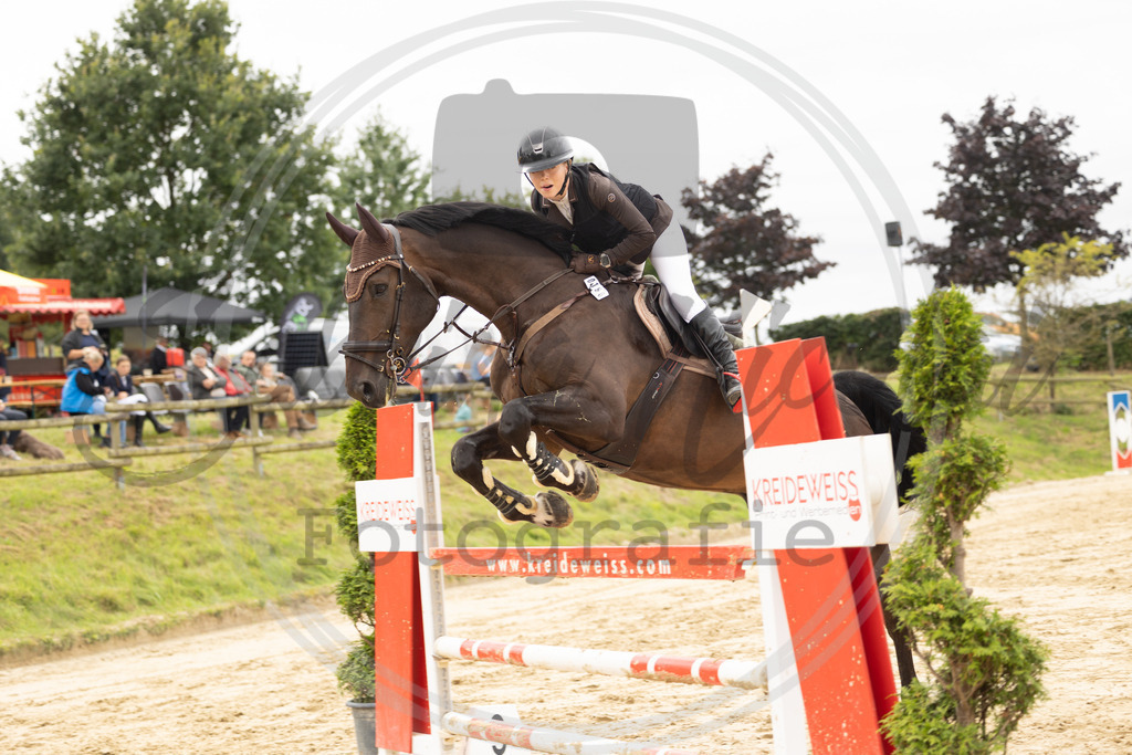 994A8976 | sabrinanicolaifotografie - Realisiert mit Pictrs.com