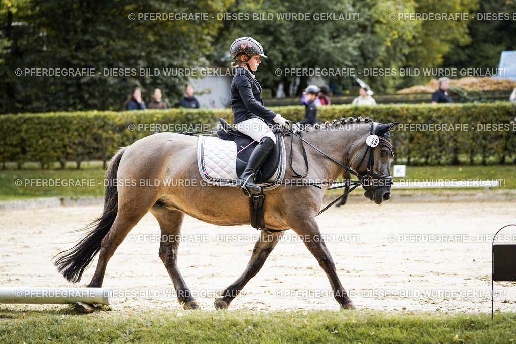 DSC05496 | Pferdegrafie