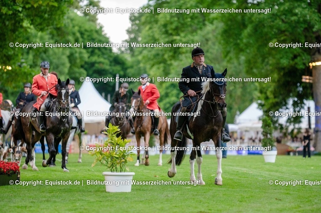 20250606_Lange-Pferdenacht_0514 | Foto: Thomas Hartig