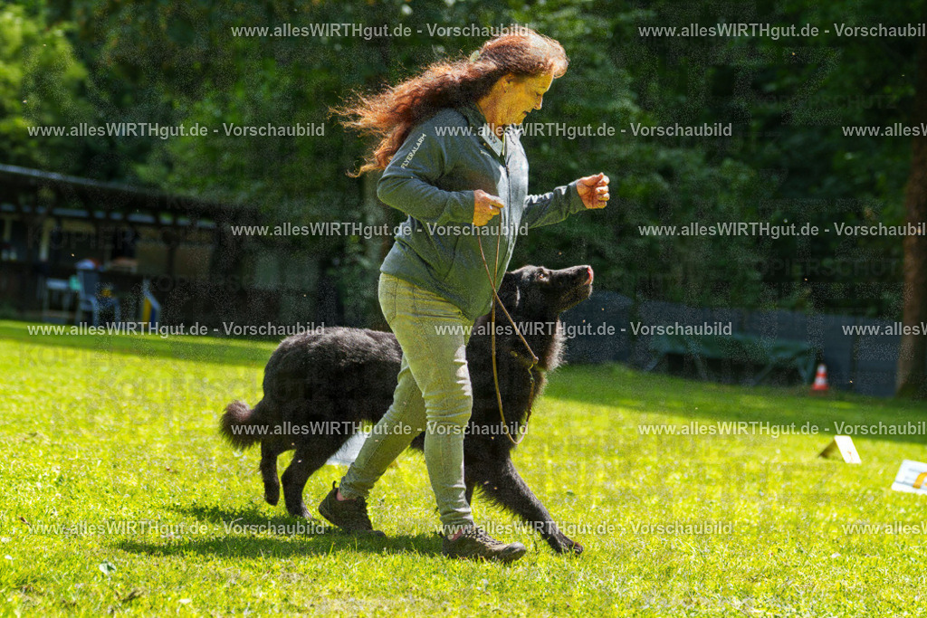 @allesWIRTHgut_Tierfotografie - www.allesWIRTHgut.de - 7R505704 | Professionelle Tierfotografie in Mönchengladbach von Daniel Wirth (allesWIRTHgut). Liebevolle & natürliche Bilder von Hunden & Katzen für unvergessliche Erinnerungen.