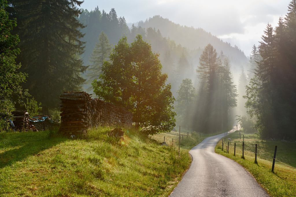 Gnanitzweg im Gegenlicht. | Tauplitz, Austria - June 24, 2017: Gnanitzweg im Gegenlicht.. - Realisiert mit Pictrs.com
