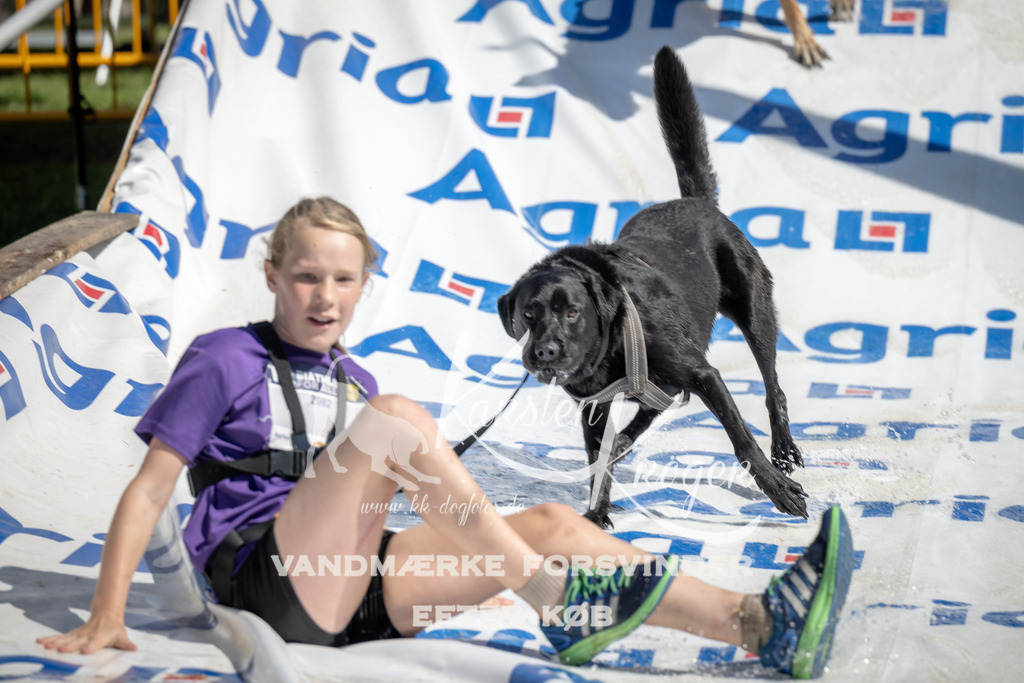 1205_ZZ94739 | kk-dogfotos