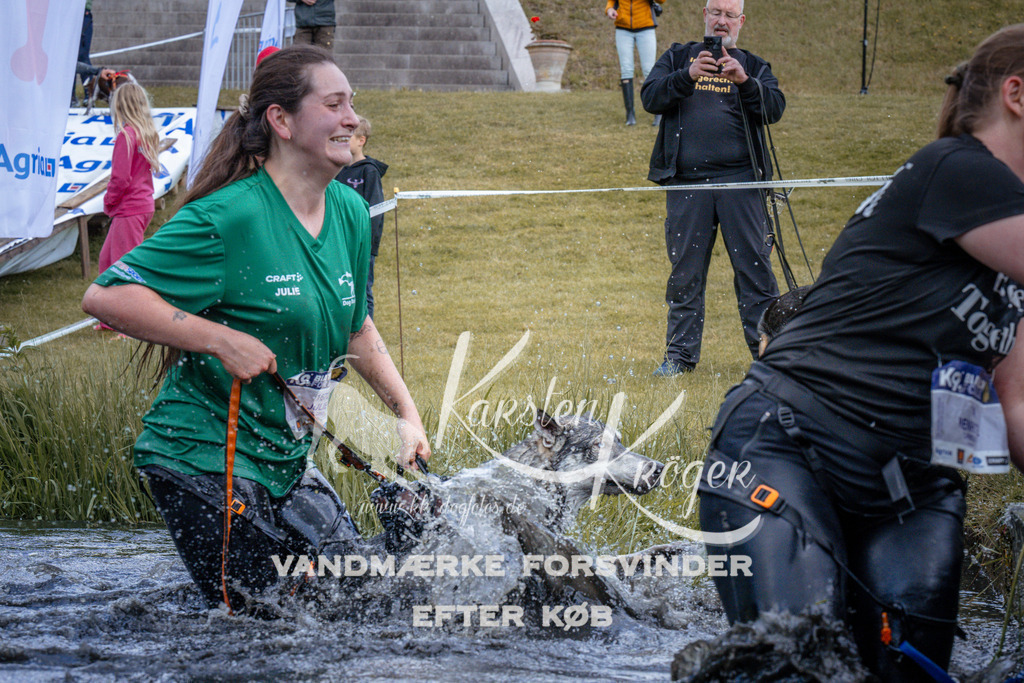 _ZZ912820912 | kk-dogfotos