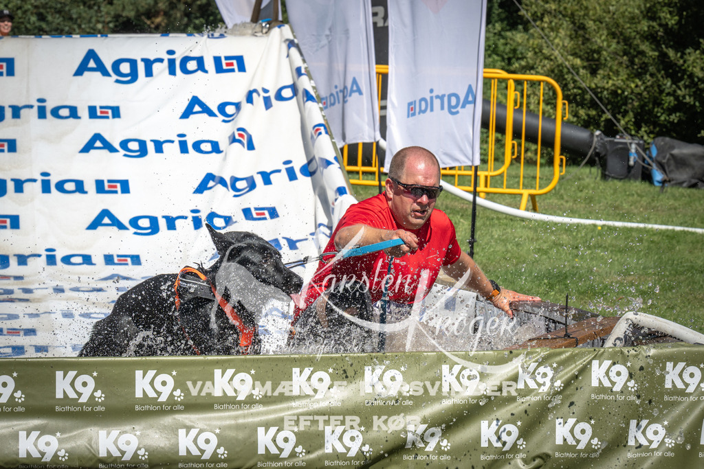 1447_ZZ95846 | kk-dogfotos