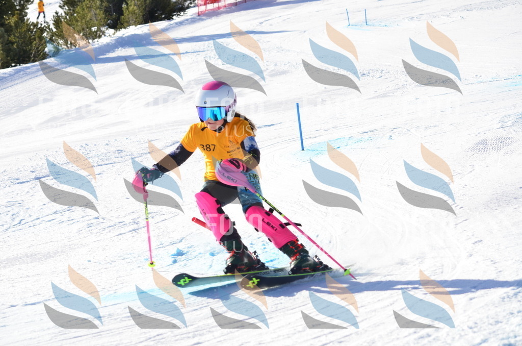 C6109 | holidayphoto