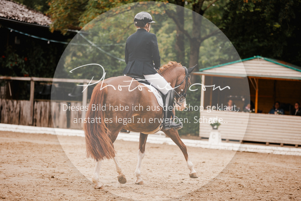 3I6A7790 | Stimmungsvolle Portraits und Reitsportfotografie im Ruhrgebiet und im Münsterland.

Pferdefotografie, Hundefotografie, Tierfotografie, Reportagen, Portraits von Tier und Mensch, Turnierfotografie in Bochum, Recklinghausen, Marl, Haltern am See, Dülmen.. - Realisiert mit Pictrs.com