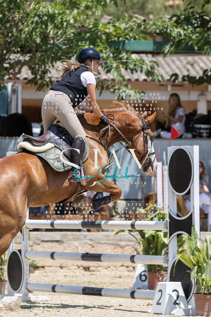 IMG_6589 | s-jay-photography - Realisiert mit Pictrs.com