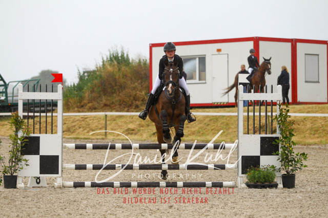 DKP47363 | Turniersportfotografie; Pferdefotografie; Dressurfotografie