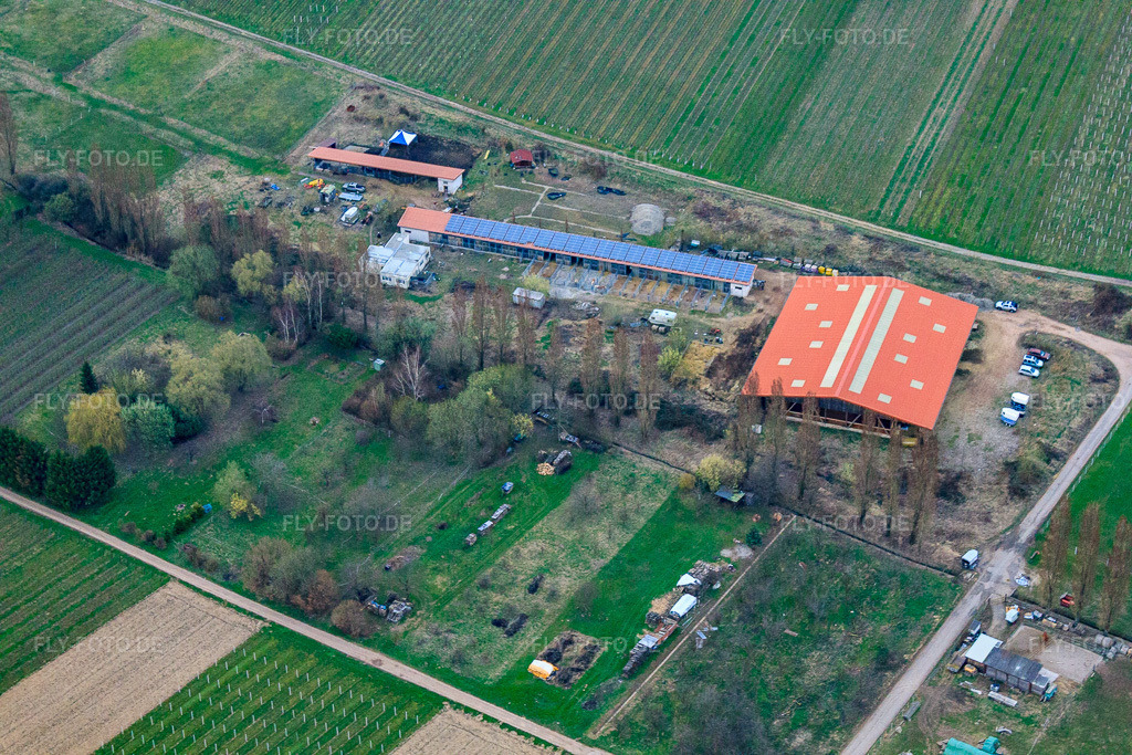 Luftbild: Pferdepension Hirtenbrunner Hof an der Aalmühl in Ilbesheim bei Landau im Bundesland Rheinland-Pfalz in Deutschland. Foto: IMG_25384.jpg vom 25.03.2010 durch Werner Riehm/FLY-FOTO.deHirtenbrunner Hof