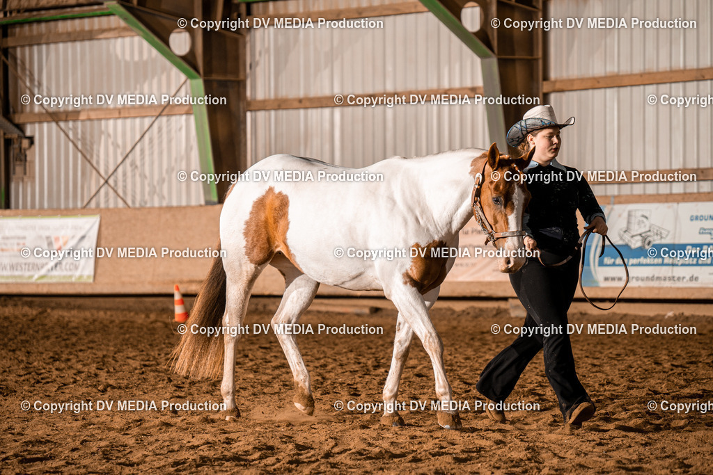 BAL01296 | dv-media-shop - Realisiert mit Pictrs.com