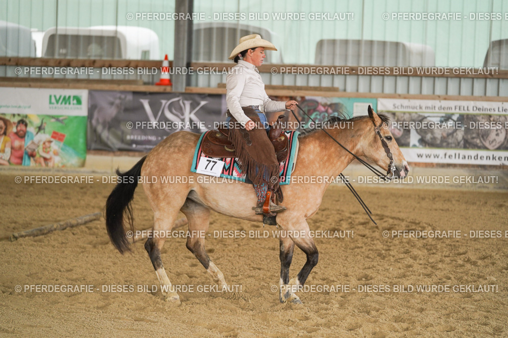 DSC03086 | Pferdegrafie