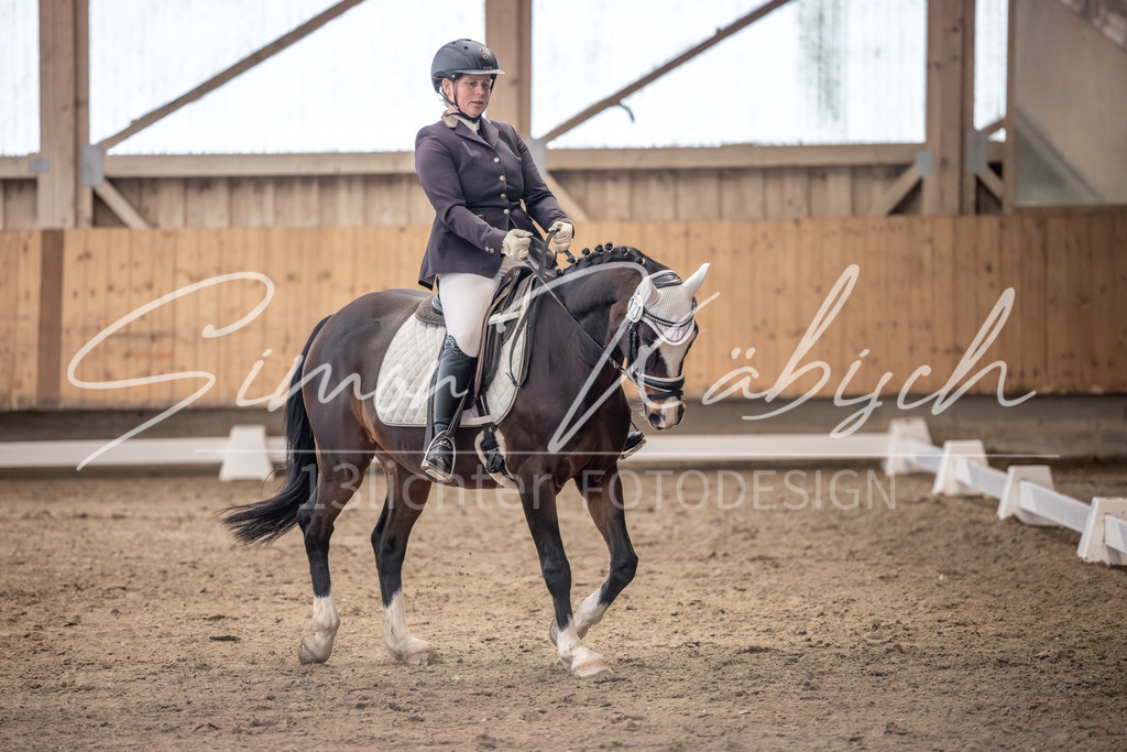 20251011-_3LI0472 | Tierfotografie Pferde, Hunde, Katzen, Haustiere.
Turnierfotografie Reitturniere, Reiten, Springreiten, Dressur in Hanau, dem Main-Kinzig-Kreis und dem Rhein-Main- Gebiet um Frankfurt