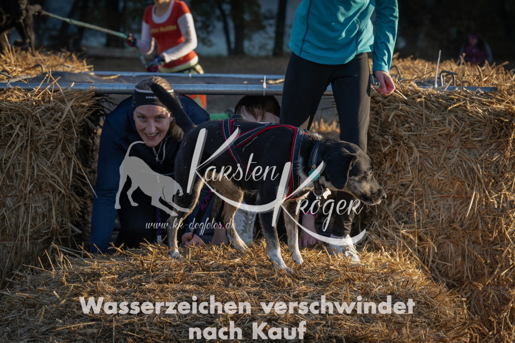 0908_ZZ91651 | kk-dogfotos