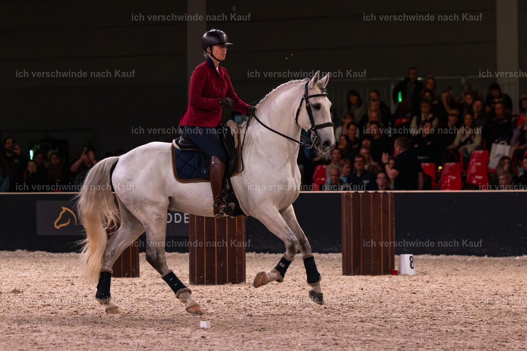 JoseraCup-93 | working equitationturnier fotograf videograf stoibphotography marixx film working equitation deutschland reitsport turnierfotografie eventfotografie equestrian events