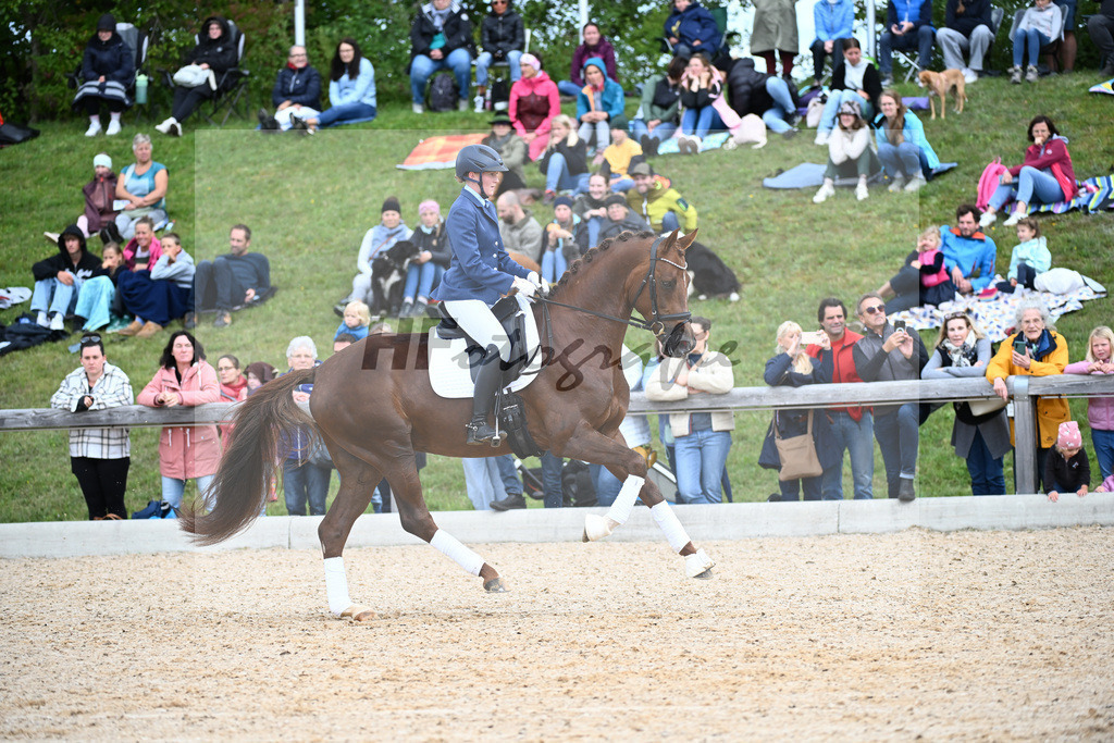 Hengste im Sport_34250119 | hf-fotografie - Realizzato con Pictrs.com