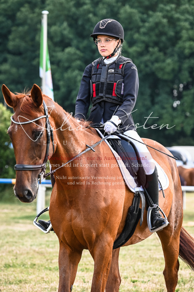 DSC_8438 | Pferde- und Turnierfotografie in Westsachsen. Pferdeportraits, Auftragszeichnungen und intuitive Kunst.