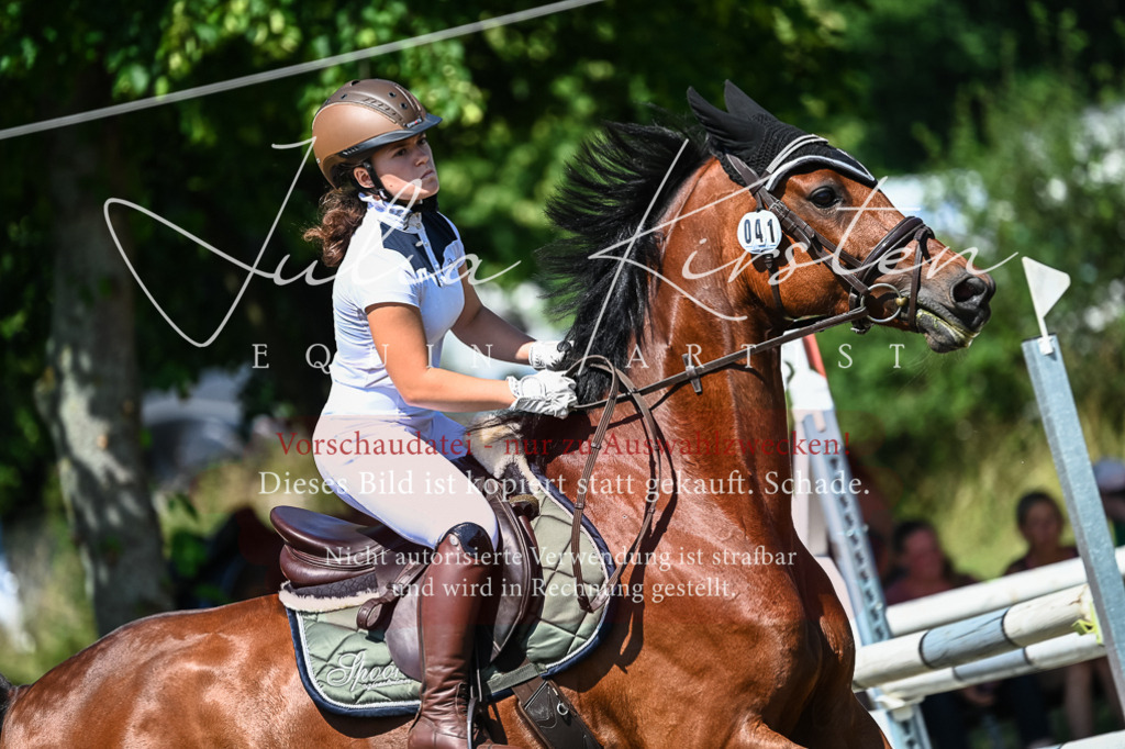 DSC_1196 | Pferde- und Turnierfotografie in Westsachsen. Pferdeportraits, Auftragszeichnungen und intuitive Kunst.