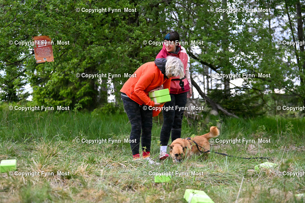 DSC_7281 | Hallo und herzlich Willkommen auf meiner Shop-Seite Fynn Most.

Ich wünsche Dir viel Spaß beim stöbern durch die Bilder, wenn Du Fragen hast oder Bilder vermisst, kannst du mir gerne eine Nachricht schreiben. - Realisiert mit Pictrs.com