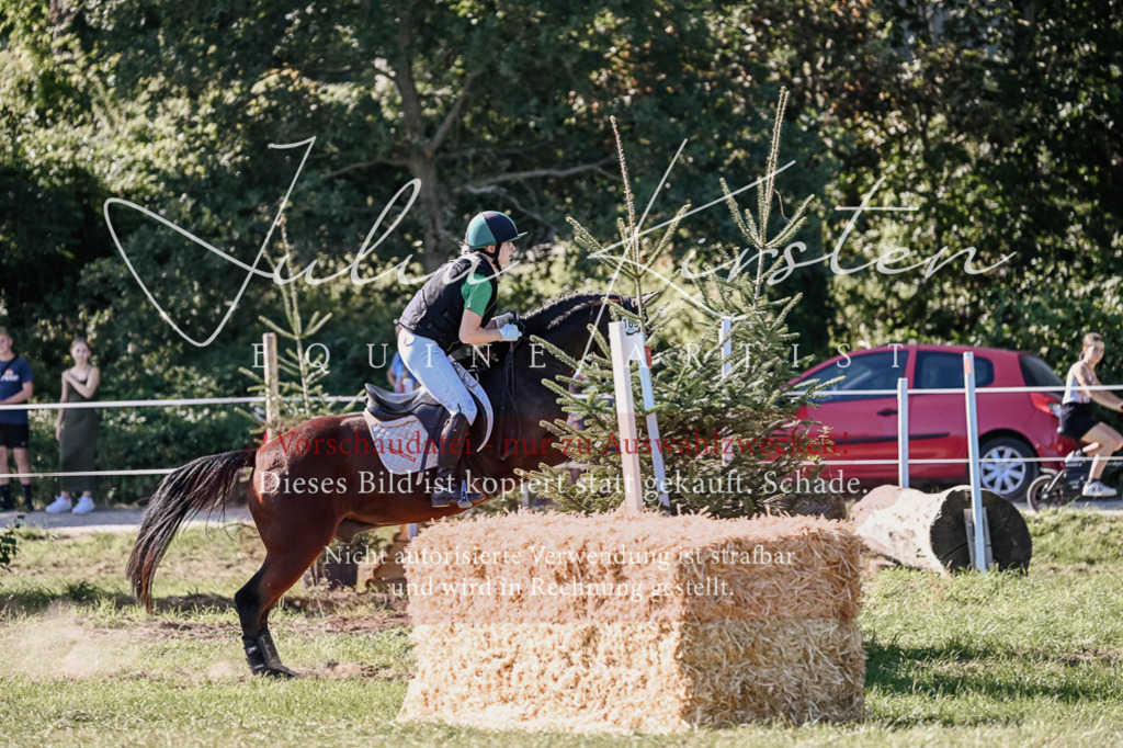 DSC_3603 | Pferde- und Turnierfotografie in Westsachsen. Pferdeportraits, Auftragszeichnungen und intuitive Kunst.